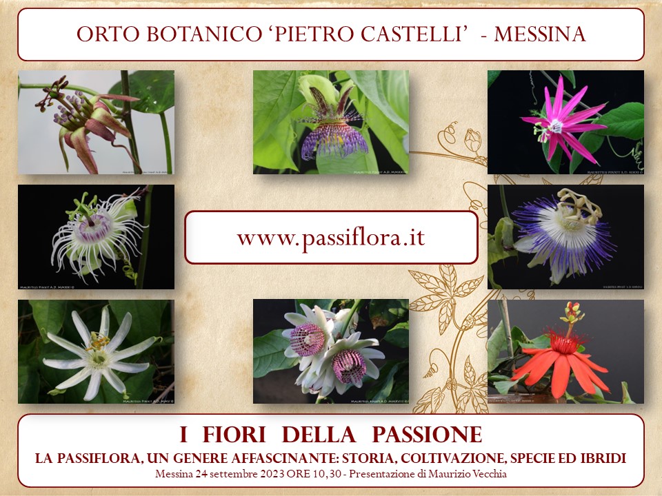 Le Passiflora, conferenze e proiezioni di Maurizio Vecchia